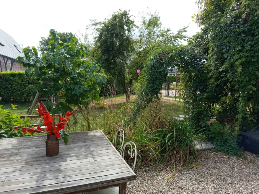 Le jardin vu de La Rose Blanche